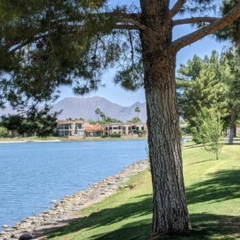 This 11-Mile Scottsdale Greenbelt Gives You A Shady, Water-Lined Walk On A Hot Day