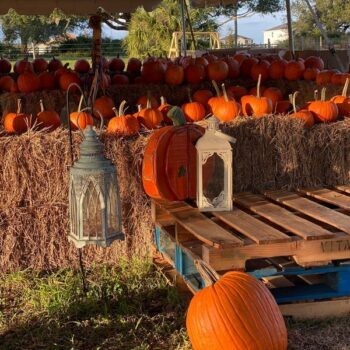Seven Florida Fall Festivals Worth the Drive From Orlando Before Thanksgiving