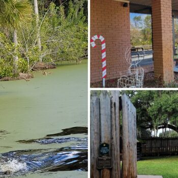 At Christmas Florida in Christmas, a Giant Alligator Gift Shop Keeps Postmarks Festive