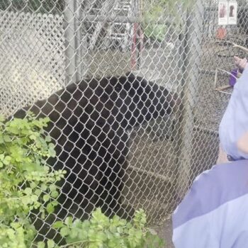A Two-Hour Arizona Walk Introduces You To Rescued Animals Almost Nobody Ever Meets