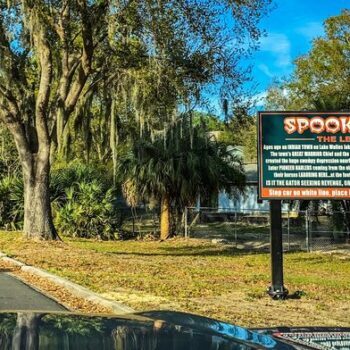 Spook Hill in Lake Wales Makes Your Car Roll Uphill, and It Costs Nothing
