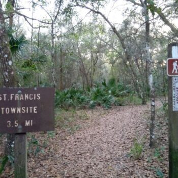 This 8-Mile Florida Trail Leads You Straight to a Forgotten Ghost Town in the Woods