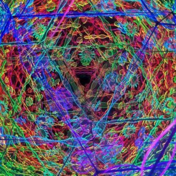 Step Into a Trippy St. Petersburg Warehouse Where the Whole Room Becomes the Artwork