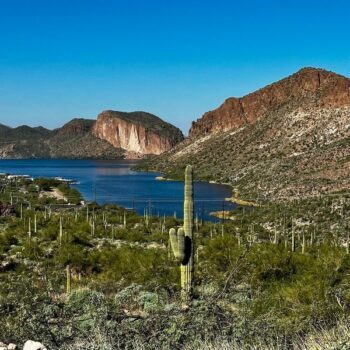 This 42-Mile Arizona Highway Turns An Ordinary Drive Into The Southwest's Most Spectacular Road Trip