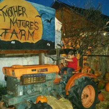 This Gilbert, Arizona Farm Lets Families Pick Pumpkins And Feed Goats For A Fall Day Out