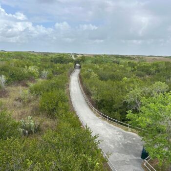 There's a 15-Mile Florida Bike Trail That Puts You Face-to-Face With Everglades Gators