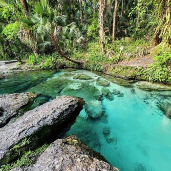 There's a Florida Park Where You Float a Lazy River Past 17-Million-Year-Old Fossils