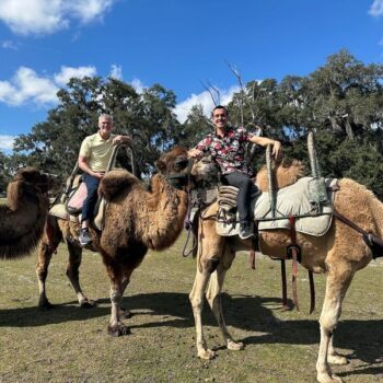 There Is a Florida Sanctuary Where You Can Feed Rescued Giraffes by Hand Just an Hour From Orlando