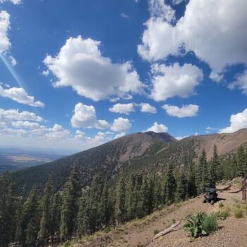 Skip Colorado's Ski Resorts Because This Flagstaff Mountain Turns Arizona Winters Into Real Powder Days