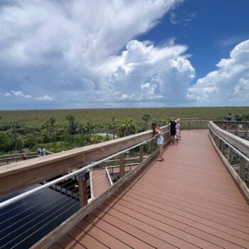 Florida Has a Brand-New Elevated Boardwalk in the Everglades, and Walking It Is Free