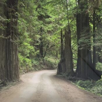 Every Mile of This Short California Drive Feels Like Driving Through a Postcard