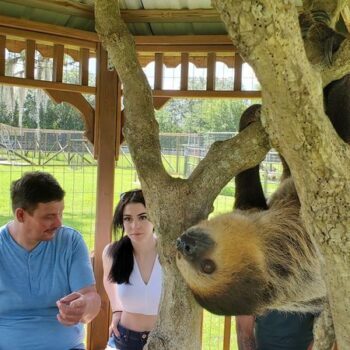 This Florida Ranch Lets You Cuddle Baby Sloths and Kangaroos and It Barely Feels Real