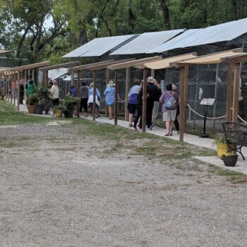 There's a Central Florida Bird Sanctuary Where 800 Rescued Parrots Eat Right From Your Hand