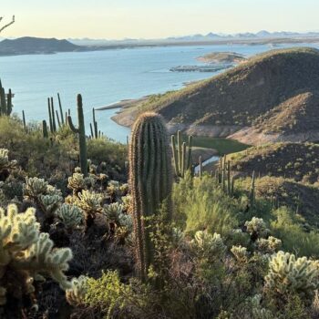 Finding This Enormous Arizona Lake Feels Like Stumbling On A Hidden Ocean In The Desert