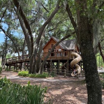One of Florida's Coolest Free Parks Feels Like Climbing Into a Giant Treehouse