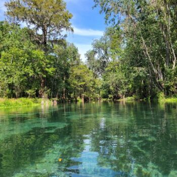The One Florida River Float Everyone Should Do at Least Once, and Nature Built It Herself