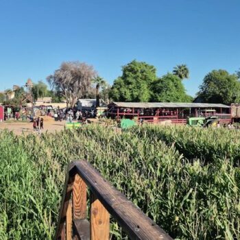 Forget Disneyland, Because Arizona's 4 Best Haunted Corn Mazes Are Scarier And Way Closer