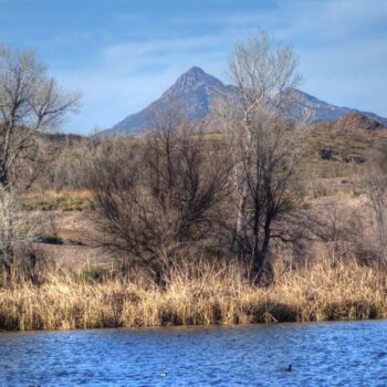 11 Arizona Campgrounds Where You'll Wake Up To Deer And Coyotes Every Single Morning