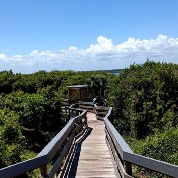 This Short Florida Trail Leads to a 2,000-Year-Old Shell Mound Almost Nobody Ever Climbs