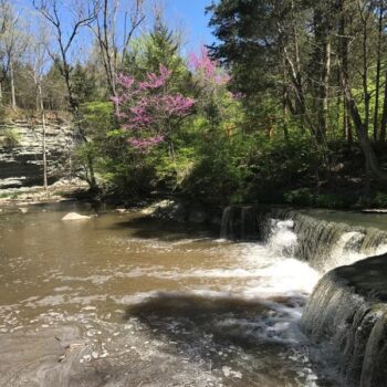 At Caesar Creek State Park In Waynesville, Ohio, Families Can Hunt For Ancient Fossils And Keep Small Finds With A Free Permit