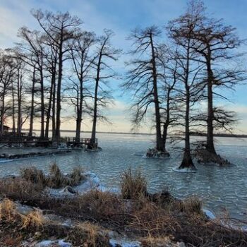 Tennessee's Only Earthquake-Made Lake Stays So Quiet Most Anglers Have It Nearly To Themselves