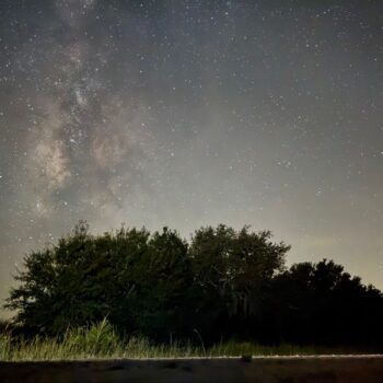 8 Stunning Florida Stargazing Spots Where The Night Sky Actually Steals The Show