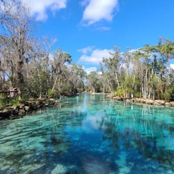 There Is a Spring-Fed Florida Park Where You Can Snorkel With Manatees for Under $10