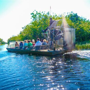 Compare Miami-Area Everglades Airboat Ride Prices: Gator Park vs. Coopertown