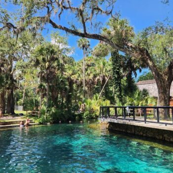 There Is a Secret Blue Spring Near Ocala Where You Can Swim All Day for Under $10