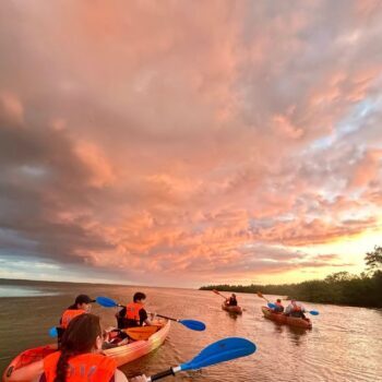 10 Florida Spots Where You Can Kayak Through Glowing Bioluminescent Water at Night