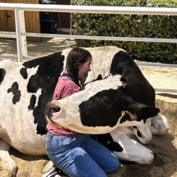 You Get to Hug Cows and Cuddle Rescued Pigs at This Southern California Sanctuary