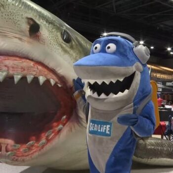 SharkCon 12 Brought a Major Shark Convention to Tampa - SharkCon 13 Is Coming in 2027