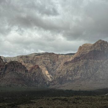 This Wildlife Overpass On US-93 Near Willow Beach, Arizona Lets Drivers Spot Desert Bighorn Sheep Crossing Above