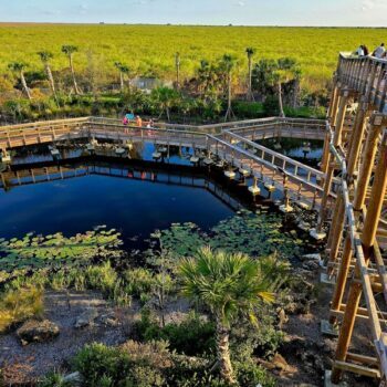 The Everglades Just Got a Brand-New Elevated Boardwalk and It's Completely Free to Walk