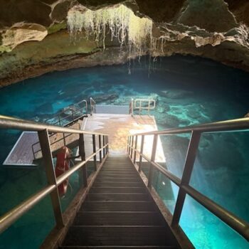 Nobody Warns You That the Devil's Den Near Ocala Is a Prehistoric Spring Inside a Cave