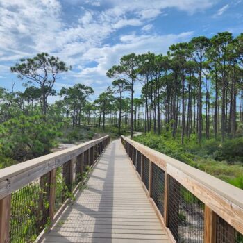 This Pristine Florida Beach Looks So Much Like the Caribbean You'll Skip the Passport