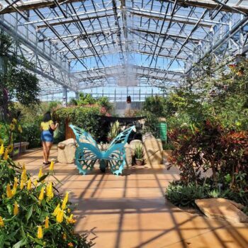 North America's Largest Butterfly Conservatory Is Right Here In Scottsdale, Arizona