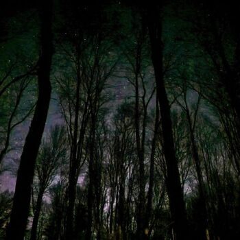 This Tiny Ohio Town Is Quietly Hiding A Natural Wonder Most Midwesterners Have Never Seen