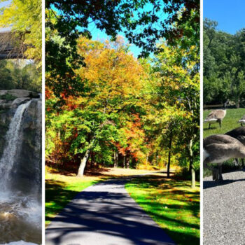Explore A 145-Acre Ohio Park With Two Massive Waterfalls And Stunning Forest Scenery