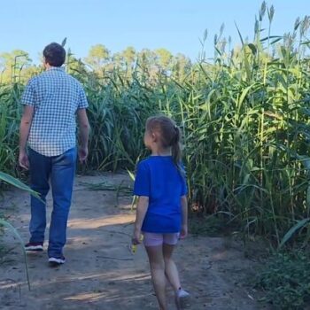 Seven Fall Corn Mazes and Hay Rides Within an Hour of Jacksonville