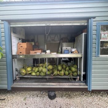 9 Roadside Fruit Stands Near Homestead Where a Few Dollars Buys a Bag of Tropical Rarities