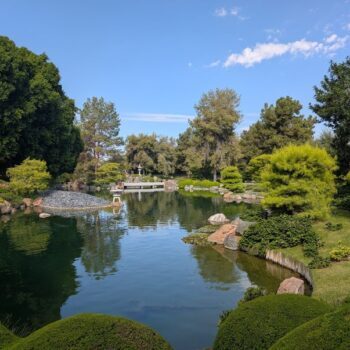 Stop Waiting For A Trip To Japan, Because Phoenix Already Has A Serene Japanese Friendship Garden