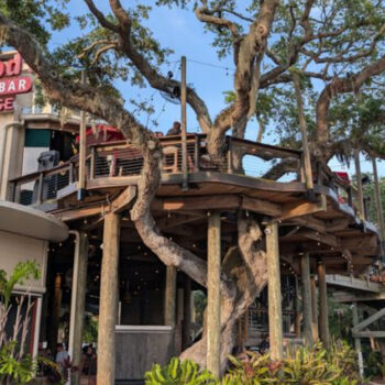 This Giant Tree House Restaurant in Florida Looks Like It Came Straight Out of a Fairytale