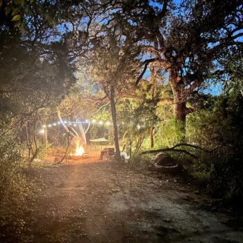 This Middle-Of-Nowhere Florida Restaurant Is So Good, Locals Drive Hours Just to Find It
