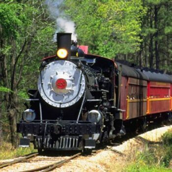 Dinner Is Served Rolling Through The Piney Woods On This Four-Hour Texas Train Ride