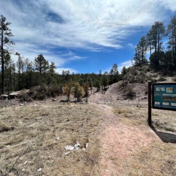 This Arizona Fossil Site Lets Seashell Hunters Strike Gold In The Middle Of The Desert