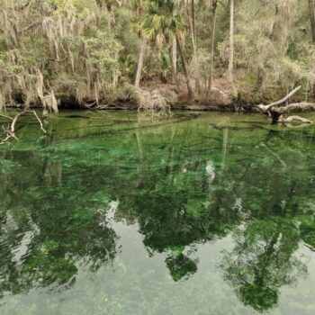 The 8 Bluest Springs in Florida That Look So Vivid You'll Swear the Photos Are Edited
