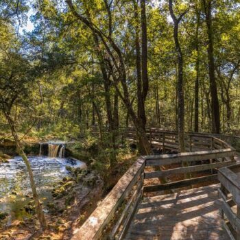 This Florida Road Trip Chases Seven Real Waterfalls Across the Flattest State in America