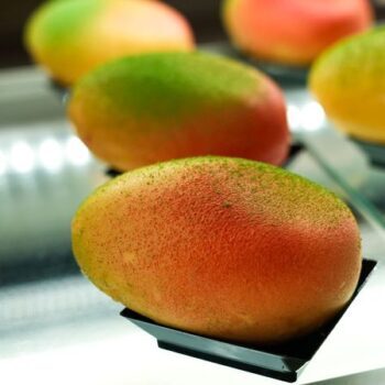 West Palm Beach Hosted a Florida Mango Festival in 2026 - Here Is What It Cost and What to Expect Next Time