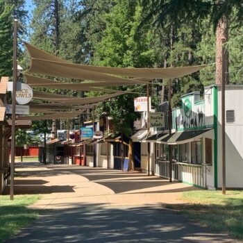 This Pine-Shaded California Fairground Turns Every Summer Into Five Days Of Rides, Music, And Fair Food Worth The Drive